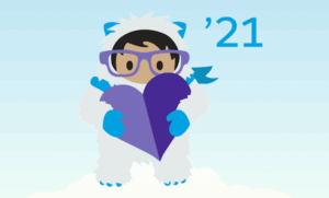 Salesforce Winter Release