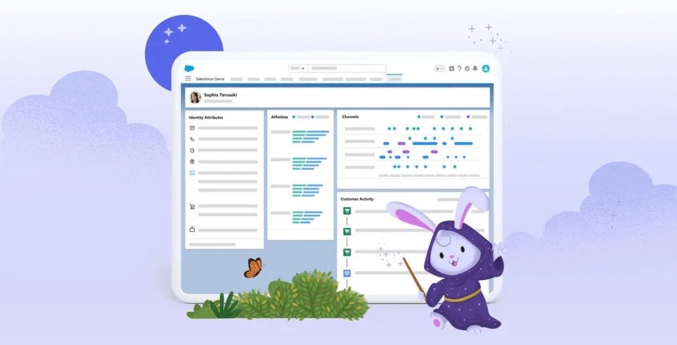 Salesforce Genie