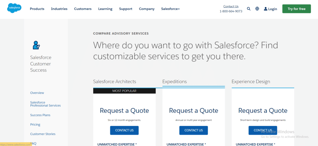Salesforce Advisory Services