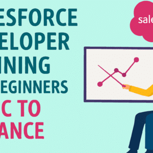 Salesforce Development Training for Beginners