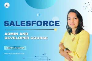Salesforce Admin and Developer Course - Complete Guide